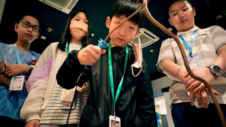 Direct English International Language Centre 缩略图 3
